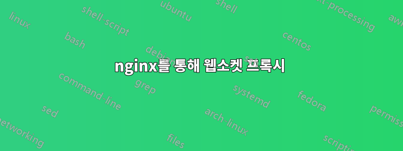 nginx를 통해 웹소켓 프록시