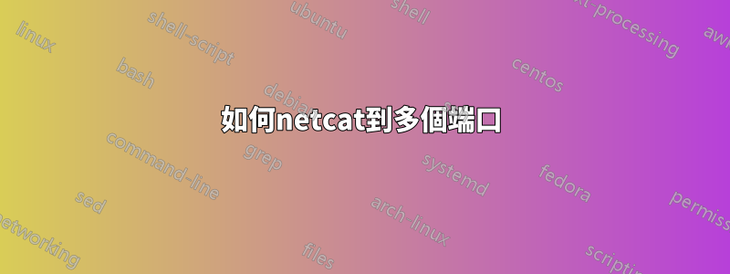 如何netcat到多個端口