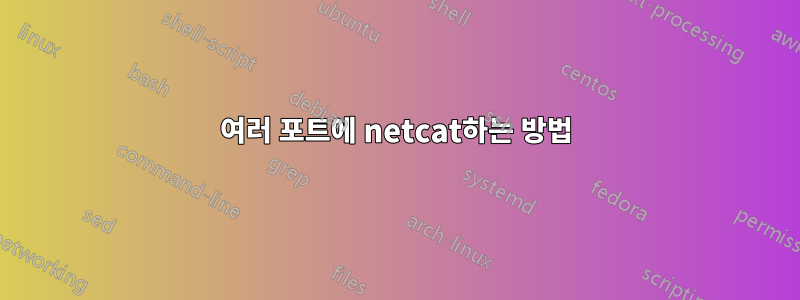 여러 포트에 netcat하는 방법