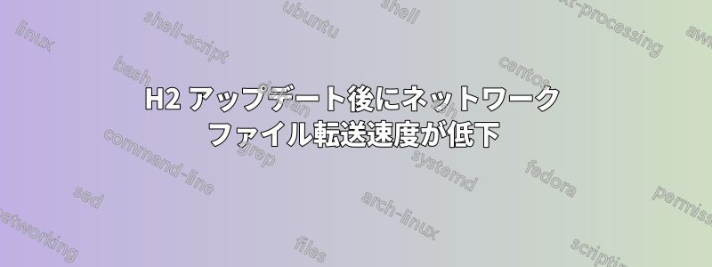 20H2 アップデート後にネットワーク ファイル転送速度が低下