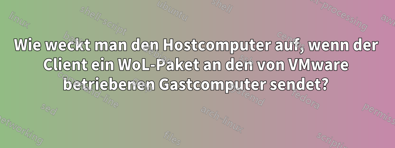 Wie weckt man den Hostcomputer auf, wenn der Client ein WoL-Paket an den von VMware betriebenen Gastcomputer sendet?