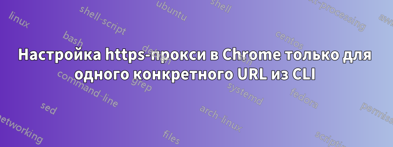 Настройка https-прокси в Chrome только для одного конкретного URL из CLI