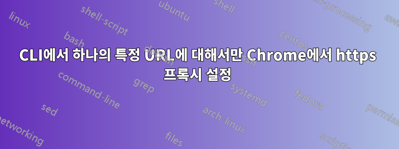 CLI에서 하나의 특정 URL에 대해서만 Chrome에서 https 프록시 설정