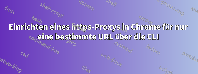 Einrichten eines https-Proxys in Chrome für nur eine bestimmte URL über die CLI