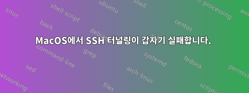 MacOS에서 SSH 터널링이 갑자기 실패합니다.