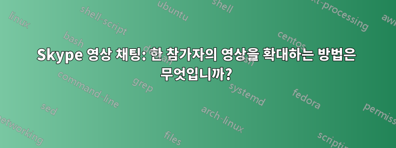 Skype 영상 채팅: 한 참가자의 영상을 확대하는 방법은 무엇입니까?