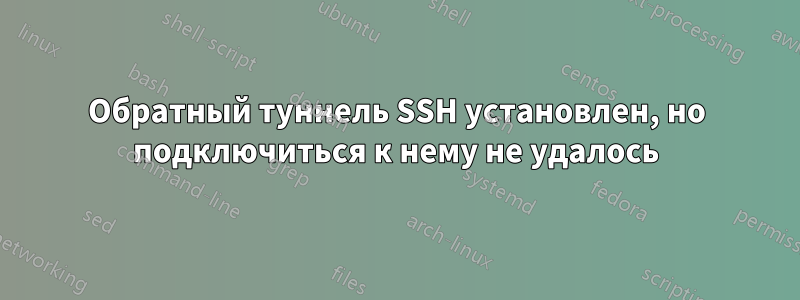 Обратный туннель SSH установлен, но подключиться к нему не удалось