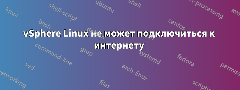 vSphere Linux не может подключиться к интернету