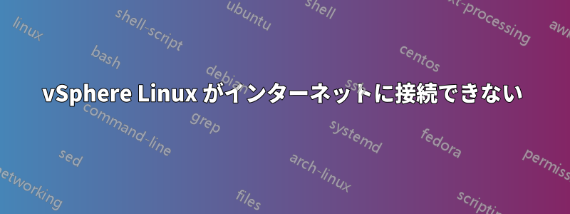 vSphere Linux がインターネットに接続できない