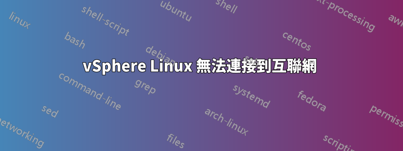 vSphere Linux 無法連接到互聯網