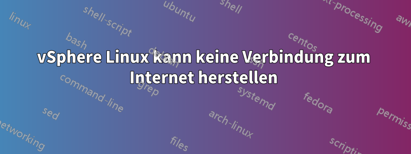 vSphere Linux kann keine Verbindung zum Internet herstellen