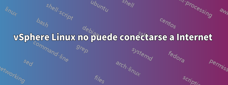 vSphere Linux no puede conectarse a Internet