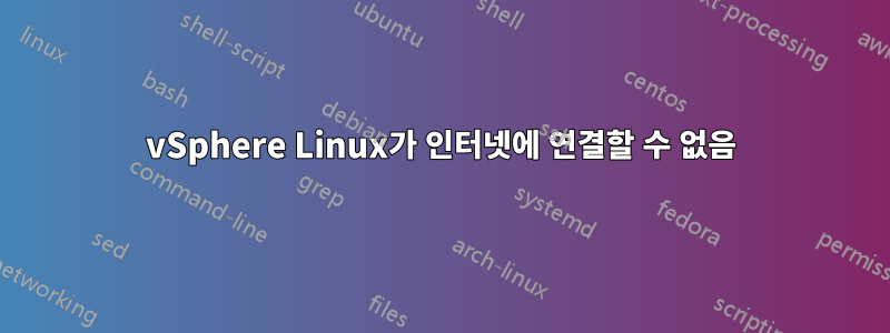 vSphere Linux가 인터넷에 연결할 수 없음