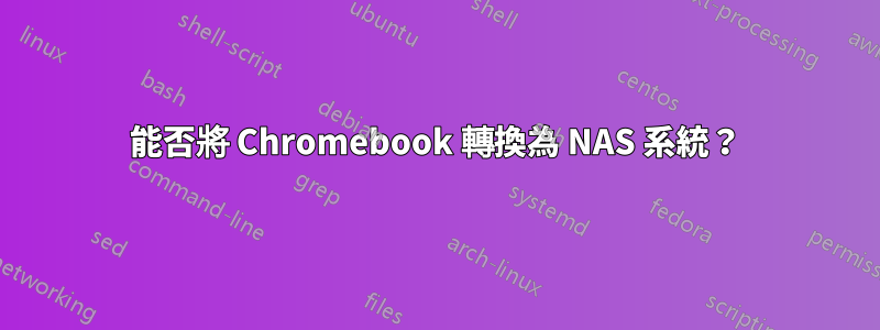 能否將 Chromebook 轉換為 NAS 系統？