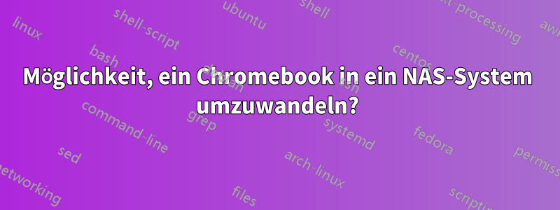 Möglichkeit, ein Chromebook in ein NAS-System umzuwandeln?