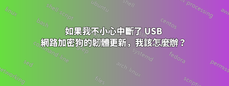 如果我不小心中斷了 USB 網路加密狗的韌體更新，我該怎麼辦？