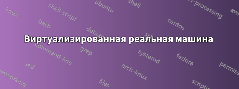 Виртуализированная реальная машина