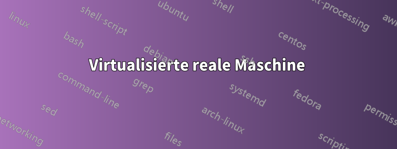 Virtualisierte reale Maschine