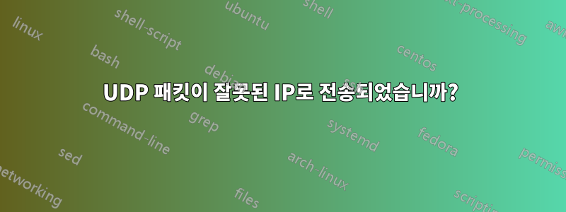 UDP 패킷이 잘못된 IP로 전송되었습니까?