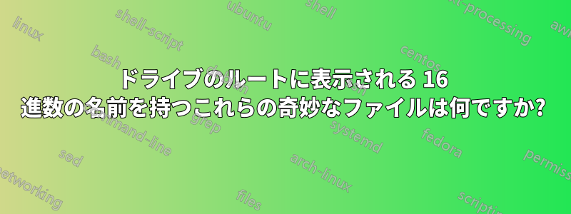 ドライブのルートに表示される 16 進数の名前を持つこれらの奇妙なファイルは何ですか?