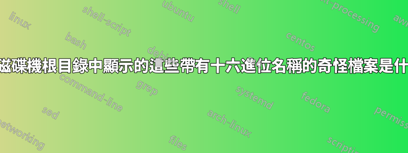 我的磁碟機根目錄中顯示的這些帶有十六進位名稱的奇怪檔案是什麼？