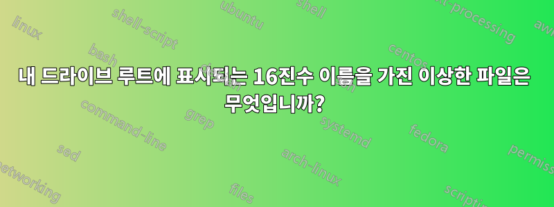 내 드라이브 루트에 표시되는 16진수 이름을 가진 이상한 파일은 무엇입니까?