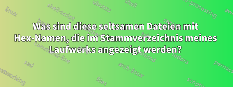 Was sind diese seltsamen Dateien mit Hex-Namen, die im Stammverzeichnis meines Laufwerks angezeigt werden?