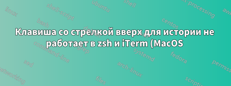 Клавиша со стрелкой вверх для истории не работает в zsh и iTerm (MacOS)