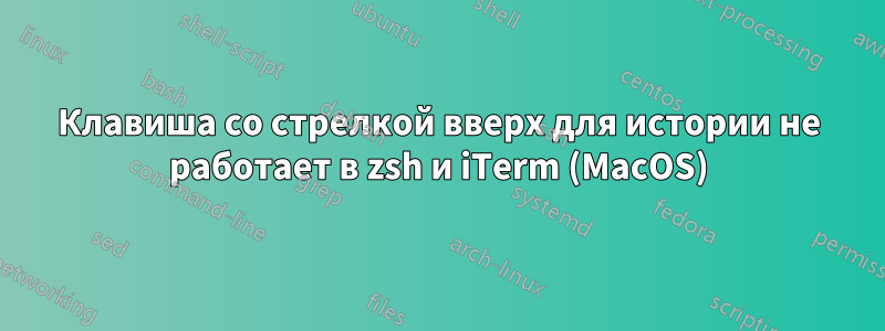 Клавиша со стрелкой вверх для истории не работает в zsh и iTerm (MacOS)