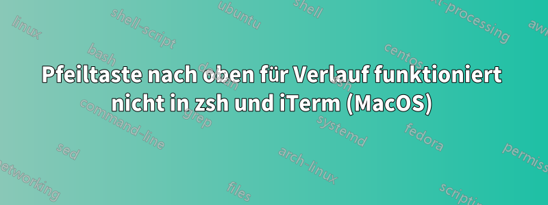 Pfeiltaste nach oben für Verlauf funktioniert nicht in zsh und iTerm (MacOS)