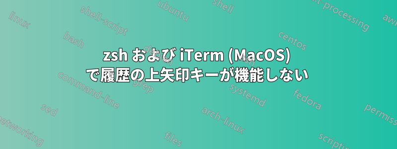 zsh および iTerm (MacOS) で履歴の上矢印キーが機能しない