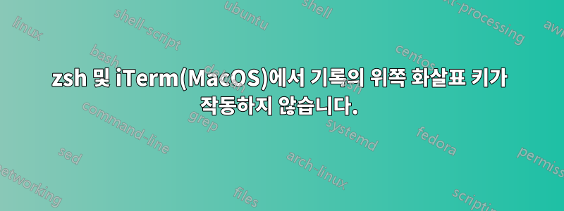 zsh 및 iTerm(MacOS)에서 기록의 위쪽 화살표 키가 작동하지 않습니다.