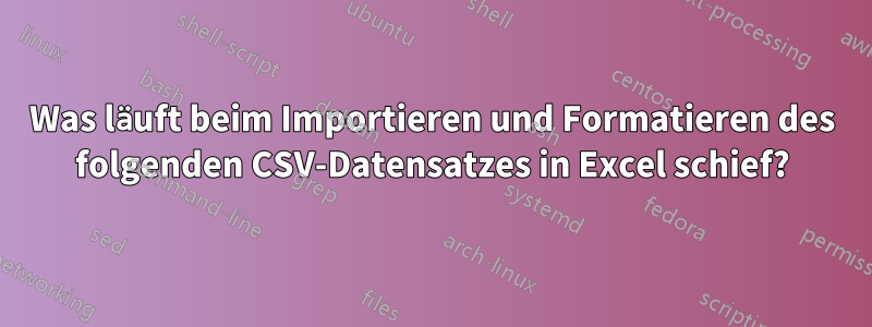 Was läuft beim Importieren und Formatieren des folgenden CSV-Datensatzes in Excel schief?