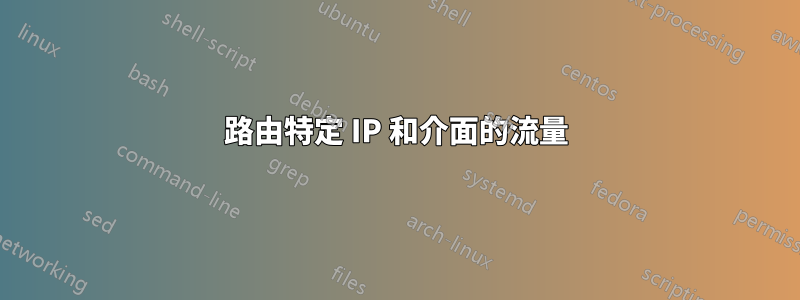 路由特定 IP 和介面的流量