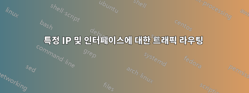 특정 IP 및 인터페이스에 대한 트래픽 라우팅