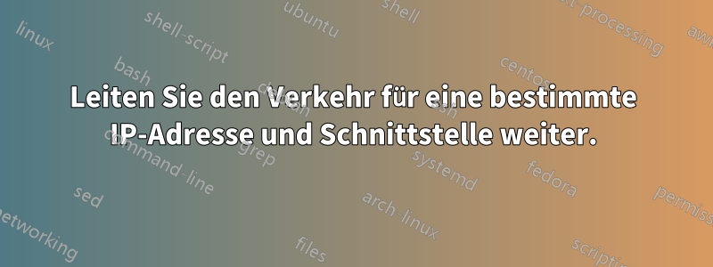 Leiten Sie den Verkehr für eine bestimmte IP-Adresse und Schnittstelle weiter.