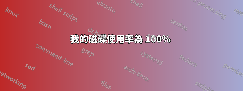 我的磁碟使用率為 100%