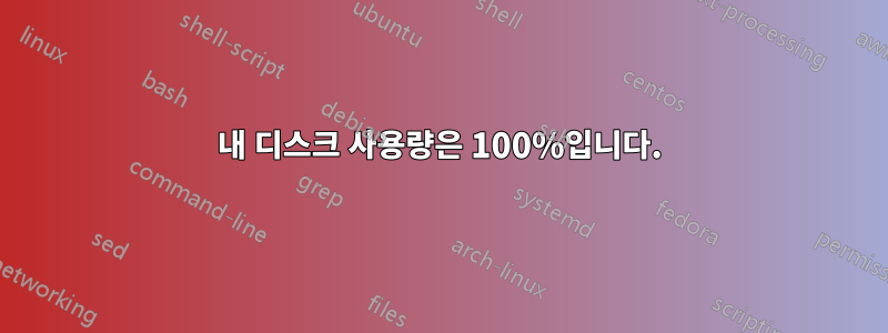 내 디스크 사용량은 100%입니다.