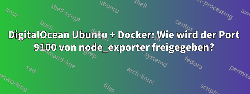 DigitalOcean Ubuntu + Docker: Wie wird der Port 9100 von node_exporter freigegeben?