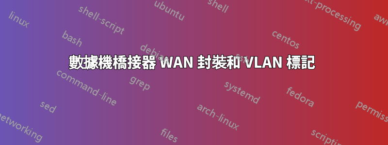 數據機橋接器 WAN 封裝和 VLAN 標記