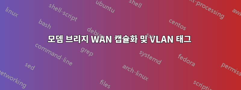 모뎀 브리지 WAN 캡슐화 및 VLAN 태그