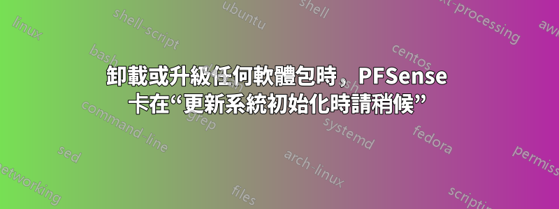 卸載或升級任何軟體包時，PFSense 卡在“更新系統初始化時請稍候”