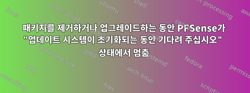 패키지를 제거하거나 업그레이드하는 동안 PFSense가 "업데이트 시스템이 초기화되는 동안 기다려 주십시오" 상태에서 멈춤