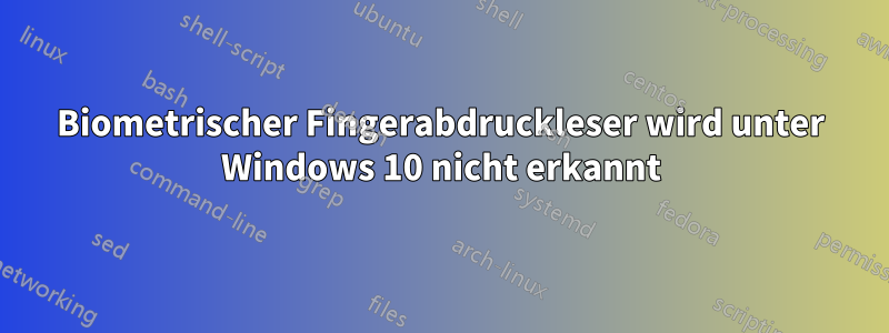 Biometrischer Fingerabdruckleser wird unter Windows 10 nicht erkannt