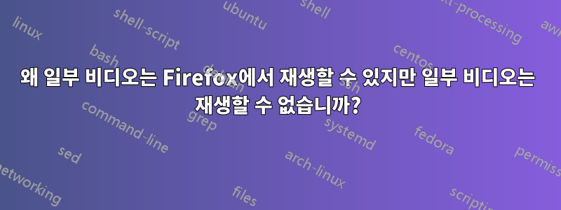 왜 일부 비디오는 Firefox에서 재생할 수 있지만 일부 비디오는 재생할 수 없습니까?