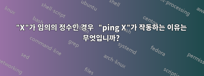 "X"가 임의의 정수인 경우 "ping X"가 작동하는 이유는 무엇입니까?