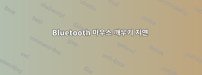 Bluetooth 마우스 깨우기 지연