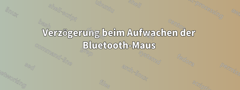 Verzögerung beim Aufwachen der Bluetooth-Maus