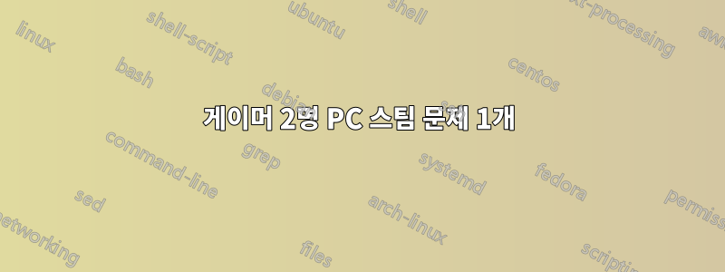 게이머 2명 PC 스팀 문제 1개