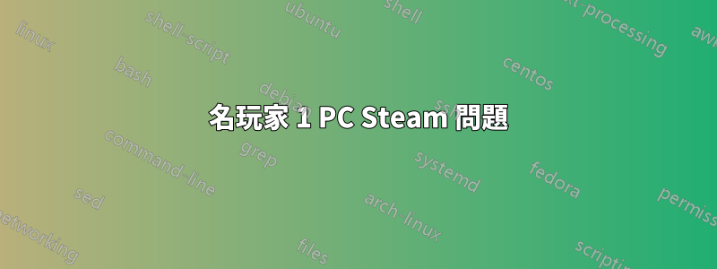 2 名玩家 1 PC Steam 問題